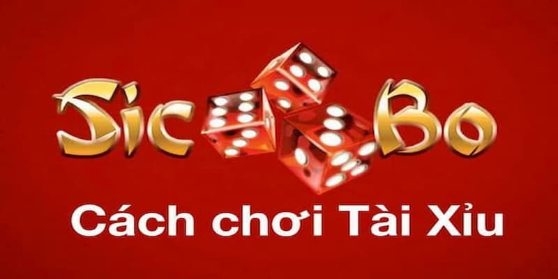 Hé lộ cách chơi game sicbo trực tuyến cơ bản cho người mới bắt đầu